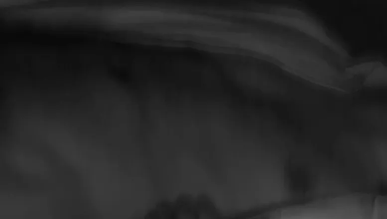 OnlyFans cuenta u51702067 header 2