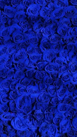 OnlyFans cuenta solemuse69 header 1
