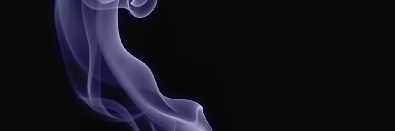 OnlyFans cuenta dltypeshitt header 2