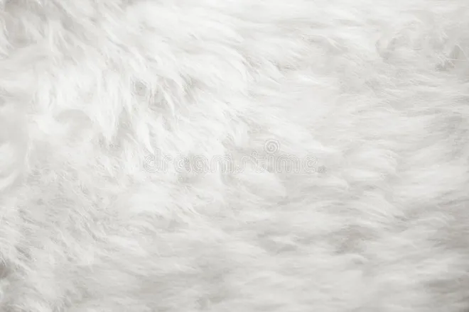 OnlyFans cuenta ami.maya header 2