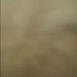 OnlyFans cuenta smokingkevin avatar 1