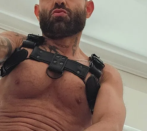 OnlyFans cuenta mysteriousxl header 2