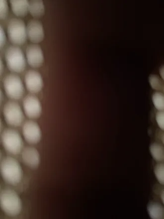 OnlyFans account  whatbot header 2