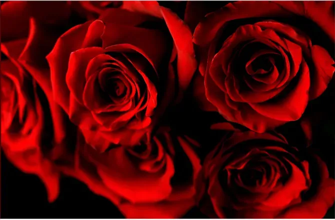 OnlyFans cuenta lanaxkane header 2
