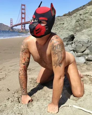 OnlyFans cuenta pupruffy avatar 1