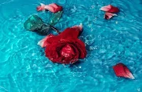 OnlyFans cuenta onlyfeetz931 header 1