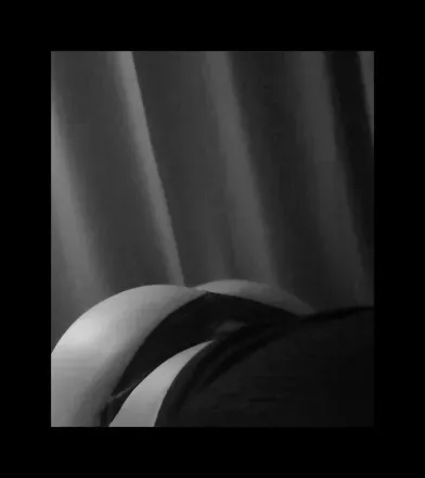 OnlyFans cuenta whylechyle44floridababy avatar 1