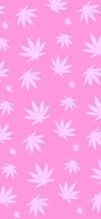 OnlyFans cuenta solidsinnab header 2
