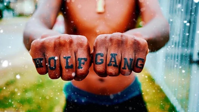 OnlyFans cuenta wxlfgangdaniels header 2