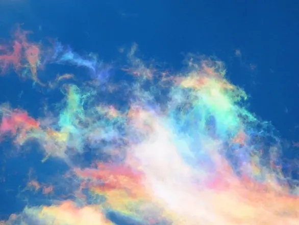 OnlyFans account  lovebugsss header 2