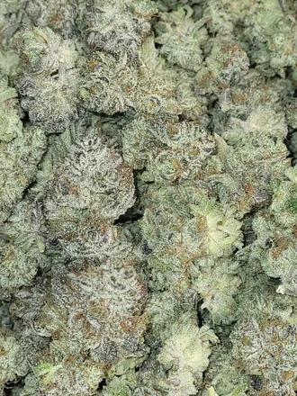 OnlyFans cuenta onlyweeds420 header 1