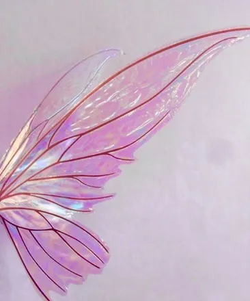 OnlyFans account  stoneeyqueen header 2