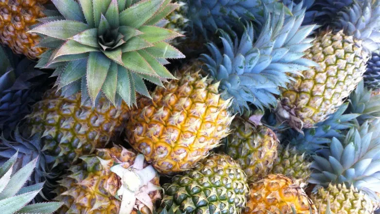 OnlyFans cuenta tiny_pineapples header 2