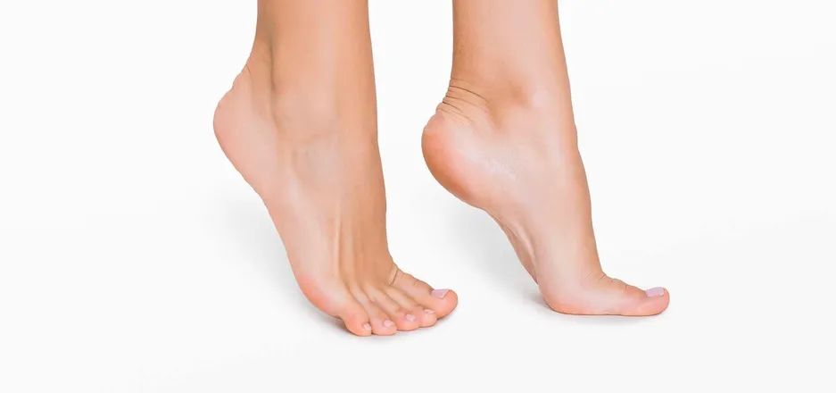 OnlyFans account  footsisters69 header 2