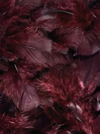 OnlyFans cuenta soy_luna header 2