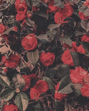 OnlyFans cuenta valentinesplayroom header 2