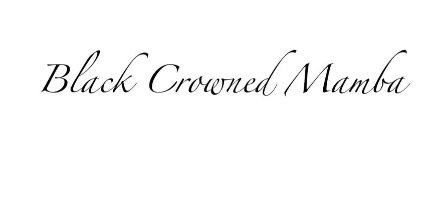 OnlyFans cuenta blackcrownedmamba header 2