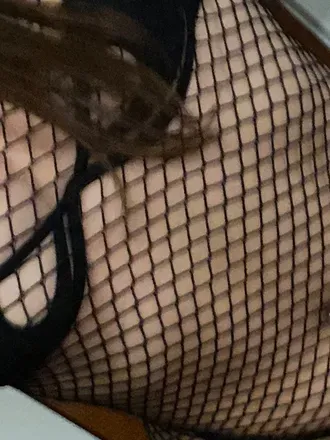 OnlyFans cuenta carmensandiego avatar 1