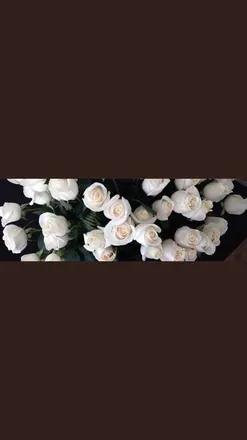 OnlyFans cuenta moonbabifeet header 2
