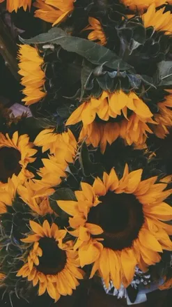 OnlyFans cuenta ayeitzsavvy2020 header 2