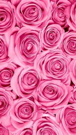 OnlyFans account  sassysnoozie header 2