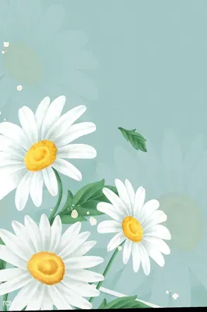 OnlyFans cuenta daisysun header 1