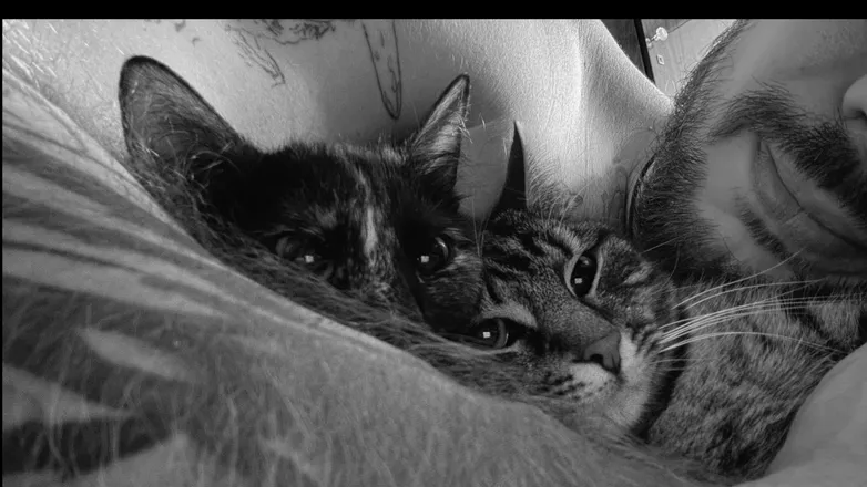OnlyFans cuenta deadcatdad header 2