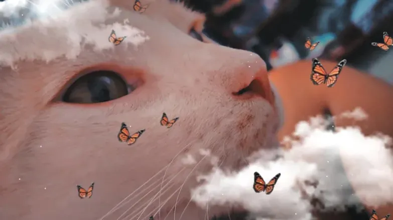 OnlyFans account  ha.26b header 1