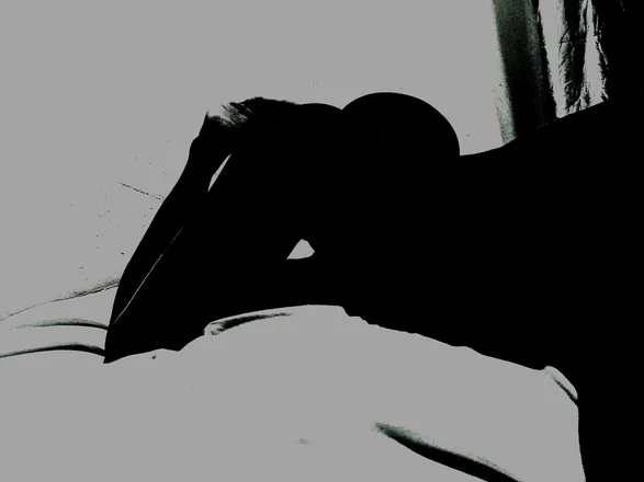 OnlyFans cuenta xheexhaa header 2