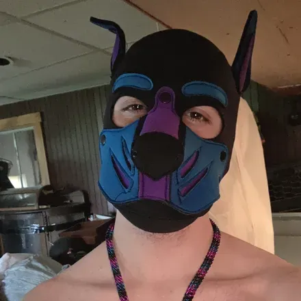 OnlyFans cuenta blinxthepup avatar 1