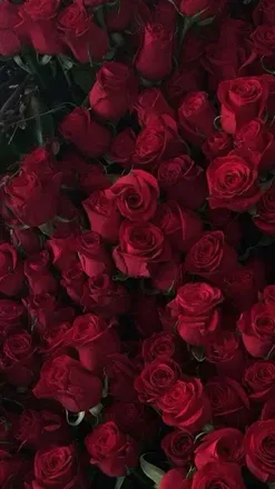 OnlyFans cuenta xizzyxxo header 1