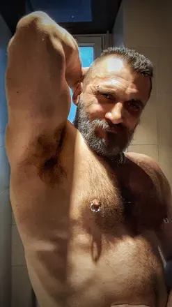 OnlyFans cuenta theparisbear avatar 1