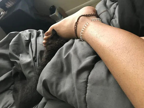 OnlyFans cuenta honeytoez444 header 2