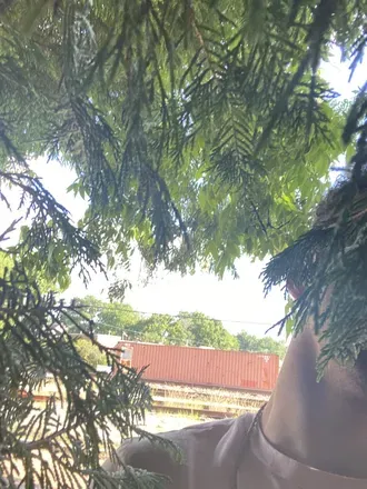 OnlyFans cuenta u57425956 avatar 1