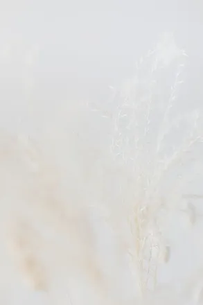 OnlyFans cuenta shannarodx header 2