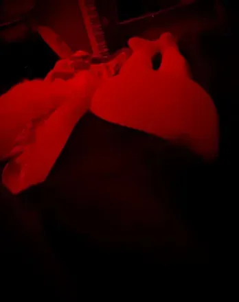 OnlyFans cuenta nova_spark avatar 1