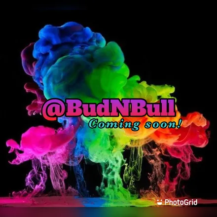 OnlyFans cuenta budnbullshit header 2