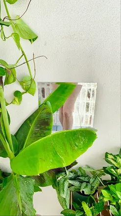 OnlyFans cuenta fionavdavid header 2