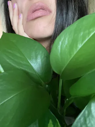 OnlyFans cuenta dredrerose avatar 1