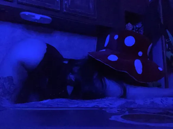 OnlyFans cuenta foxy_bella53 header 2