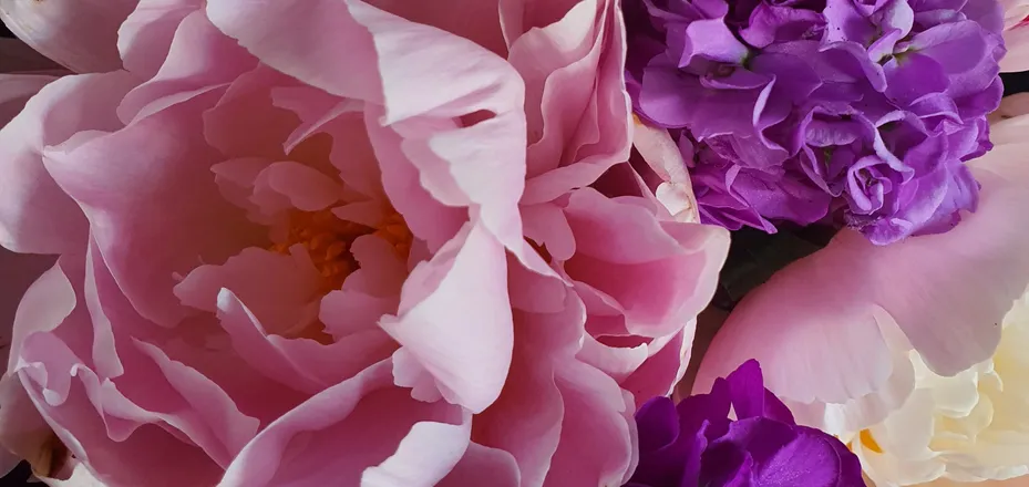 OnlyFans cuenta gobboqueen header 2
