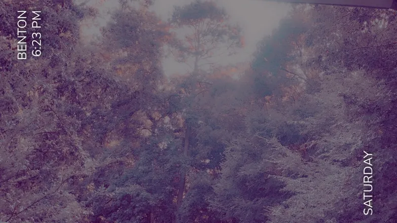 OnlyFans cuenta graceful_bean header 2