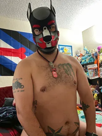 OnlyFans cuenta pup_dante3 avatar 1