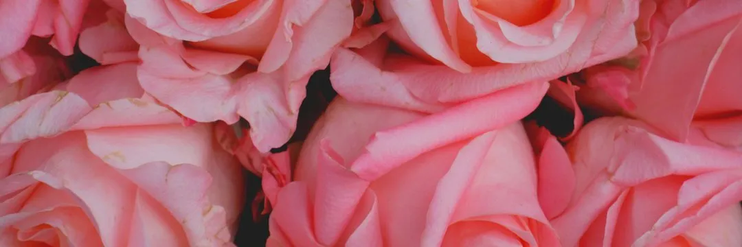 OnlyFans cuenta karleelove header 2