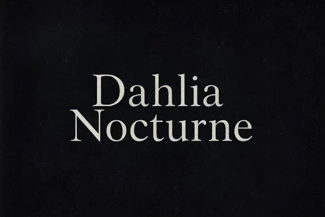 OnlyFans cuenta love_dahlia.nocturne header 2