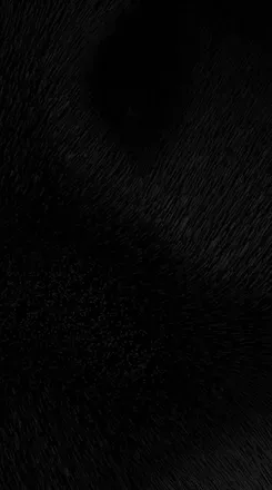 OnlyFans cuenta diana-ayala header 2