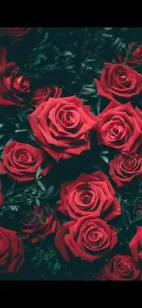 OnlyFans cuenta theannamarie18 header 2
