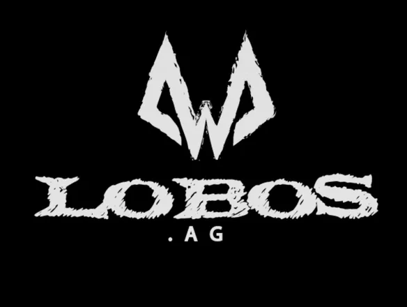OnlyFans cuenta wolfs305 header 2