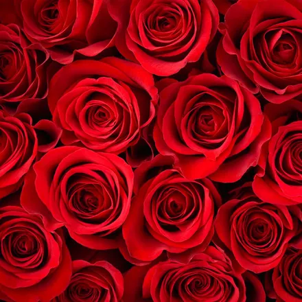 OnlyFans cuenta natalyabarawoska header 2