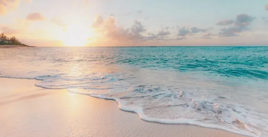OnlyFans account  sunandseareyes header 2